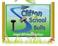 Clifton School Bulls