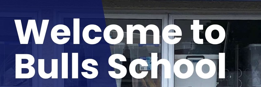 Bulls School